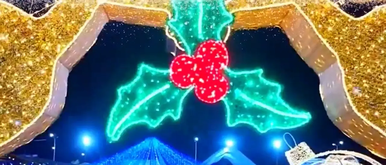 Muérdago de luz